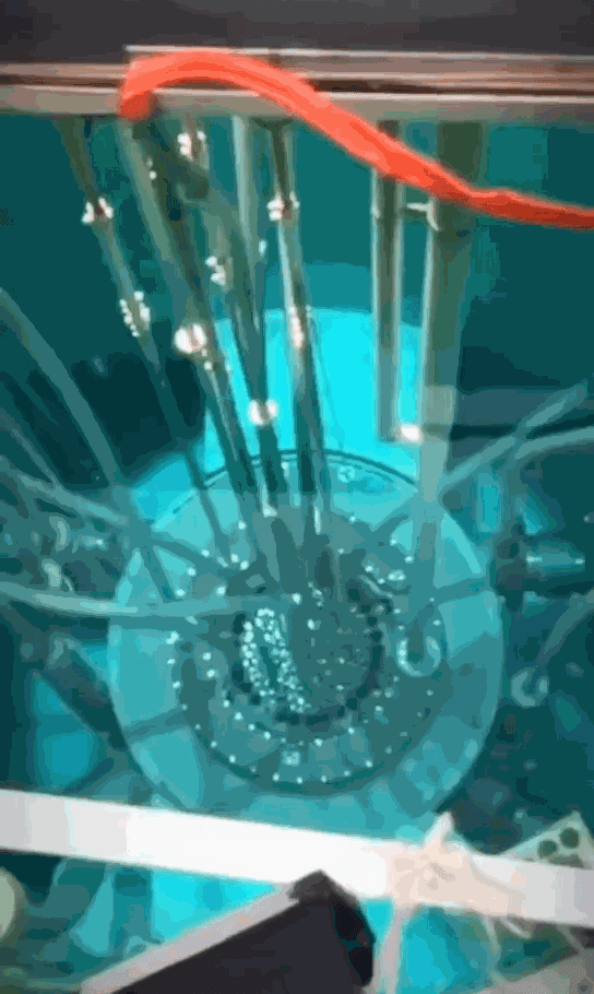 201909011026549531 201909011026549531