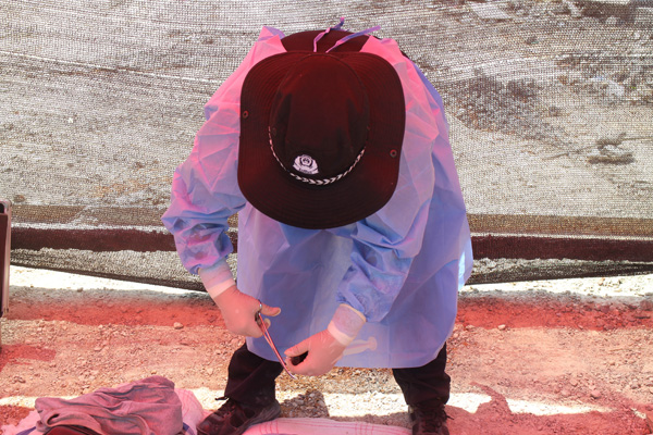 微信图片_201908261110311