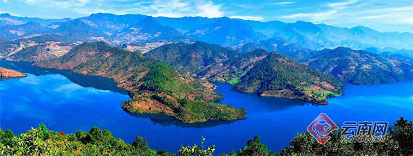 00300882542_9d395d0c 00300882542_9d395d0c