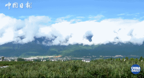 老外到大理洱海寻找“诗和远方”，可这里的客栈怎么关了大半？