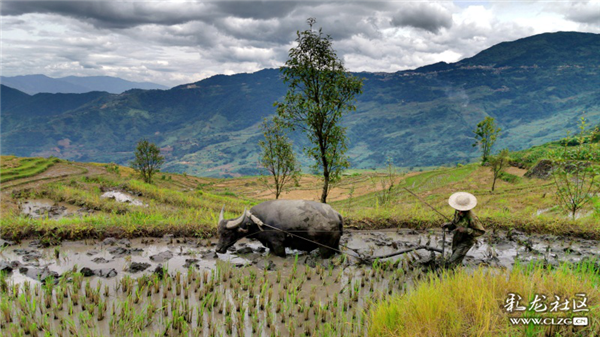 凡夫俗人摄 凡夫俗人摄