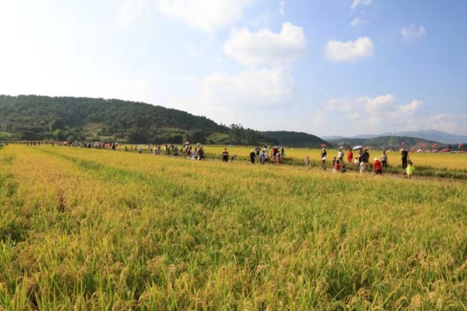 微信图片_201909101628003 微信图片_201909101628003