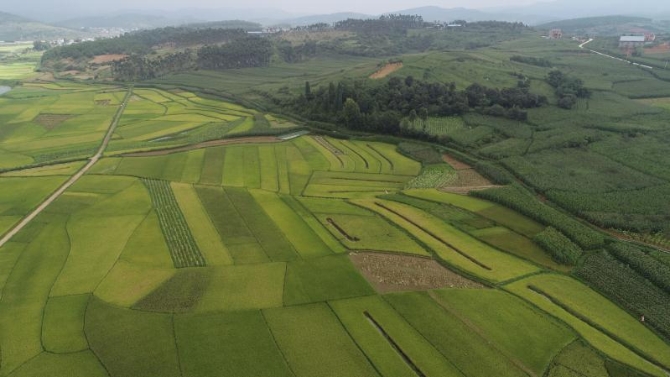 微信图片_201909101628006 微信图片_201909101628006