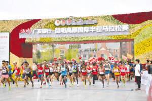 46581568136603957 46581568136603957