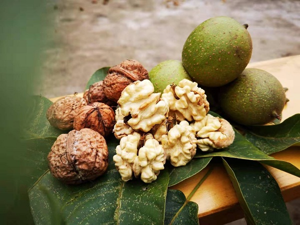 漾濞核桃。 漾濞核桃。