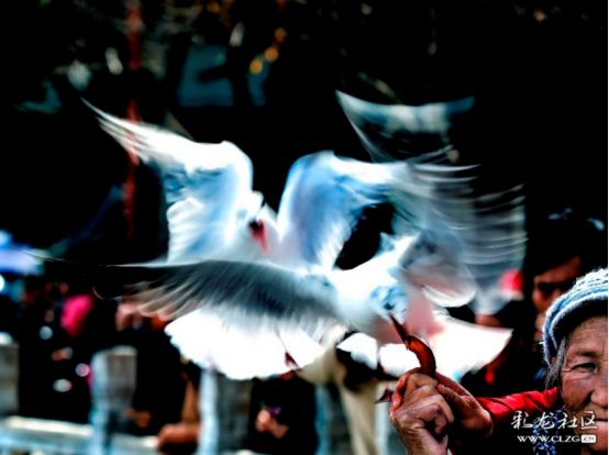 7A9527E0@2A87ED1F.49F9795D_recompress