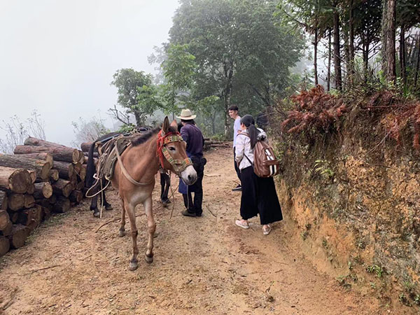 微信图片_20190912012521 微信图片_20190912012521