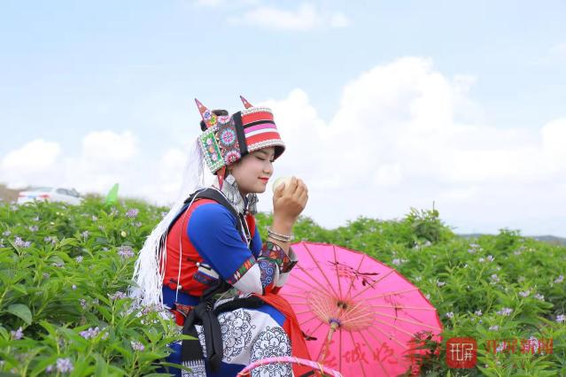 石林县将举办2019年第二届农民丰收节