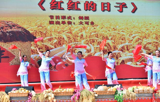 民族民间文艺展演_副本