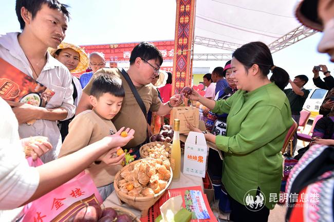 农特产品展销_副本