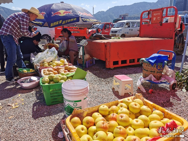 梨农介绍，海东梨，黄梨，金花梨4元每公斤，宝珠梨每公斤按品相4--10元不等_副本