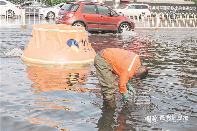 2019004949 2019004949