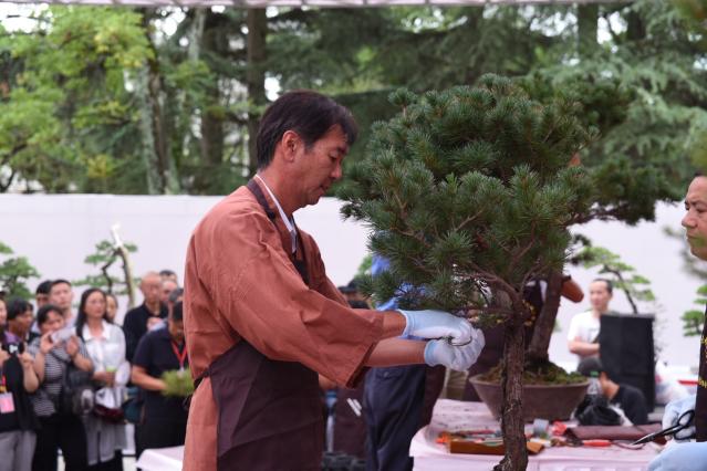 00300933527_589b35b9