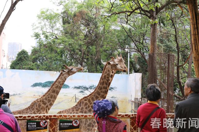 00300933528_ca8fbc90