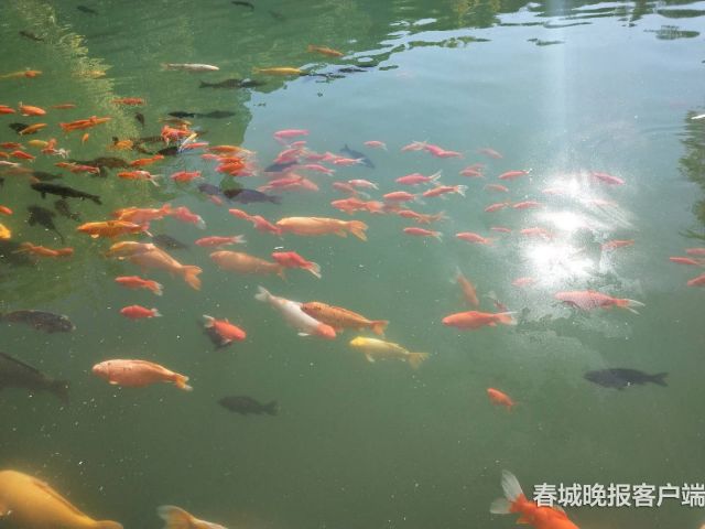 00300933530_9ee32778