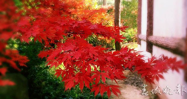 00300933533_016489db