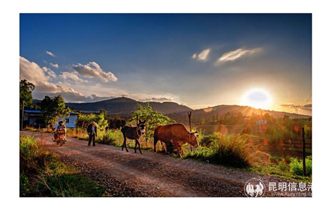 展览作品1 展览作品1