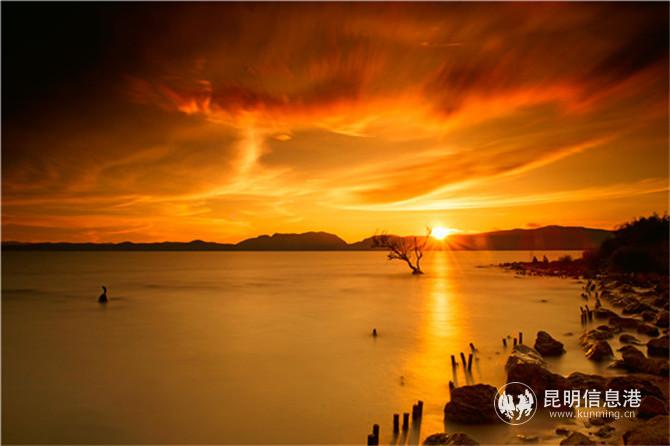 展览作品2 展览作品2