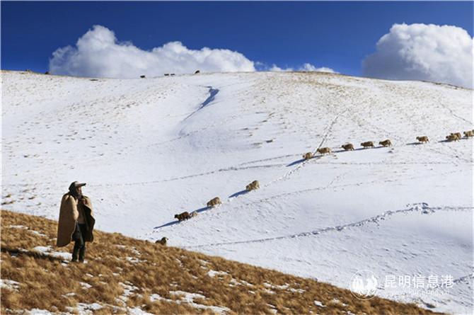 展览作品4 展览作品4