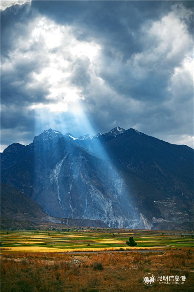 展览作品5 展览作品5