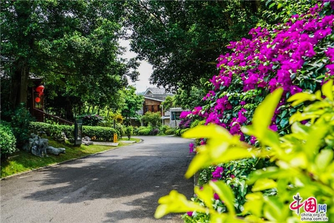 e46aca7b-ea64-412f-b9d6-27b58affb96a_batchwm