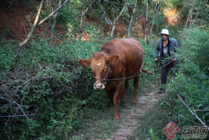 00300966076_1817127d