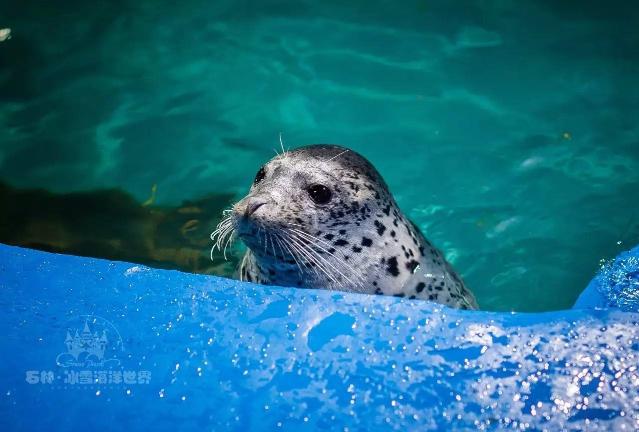 石林冰雪海洋世界