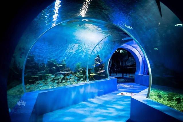 石林冰雪海洋世界