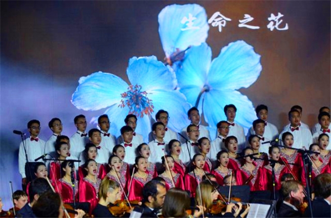 00300979413_c481dd893