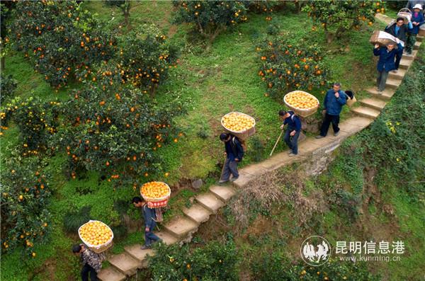 QQ图片20191017180430