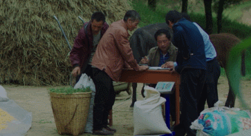 00300991199_c5f0d61d