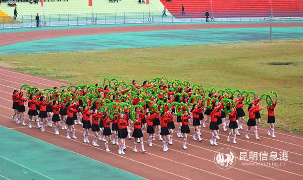 花环方队 花环方队