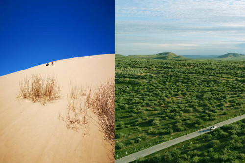 【见证七十载•草原新发展】从“八百里瀚海”,到草原绿洲 【见证七十载•草原新发展】从“八百里瀚海”,到草原绿洲