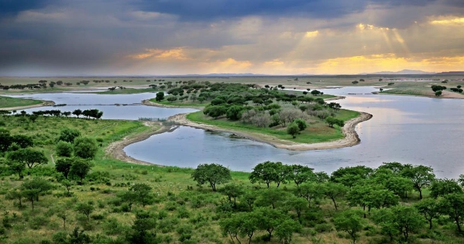 科尔沁国家级自然保护区  国建军 摄