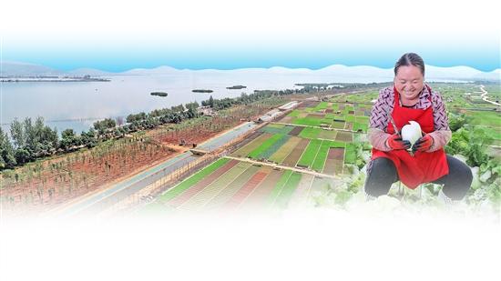 2019102410_res03_attpic_brief