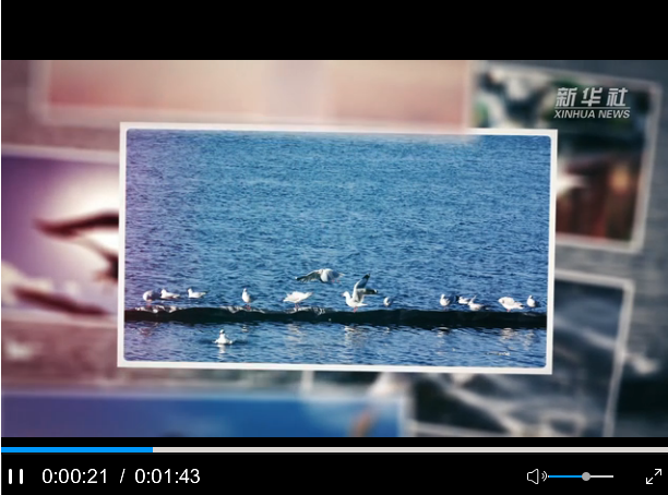 QQ截图20191025103357