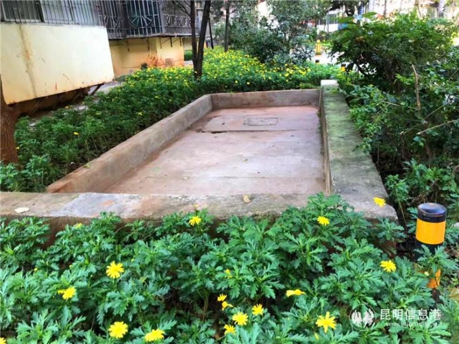 花坛修缮。 花坛修缮。