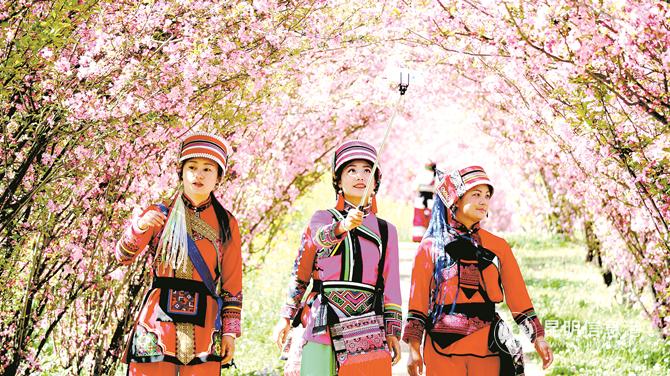 图说：云南旅游资源丰富。