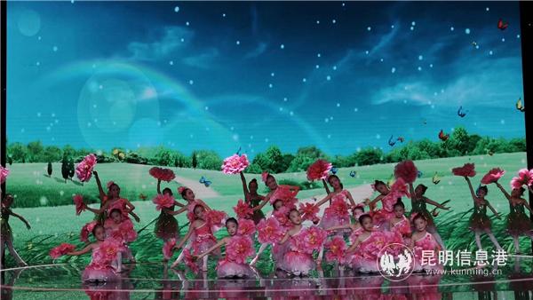 现场表演 (2) 现场表演 (2)