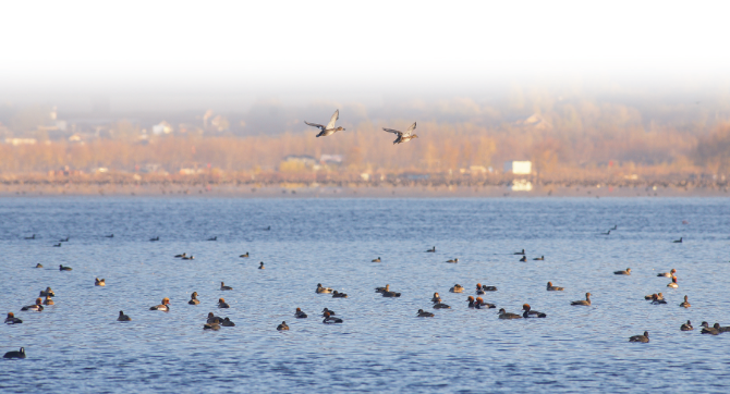 00301198999_1c5b798b