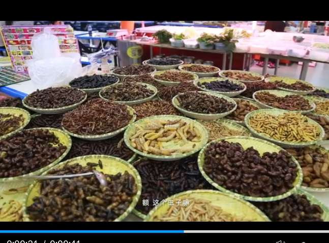 点击观看视频 点击观看视频