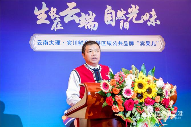 中共大理州委常委、宾川县委书记岳黎松致辞 中共大理州委常委、宾川县委书记岳黎松致辞