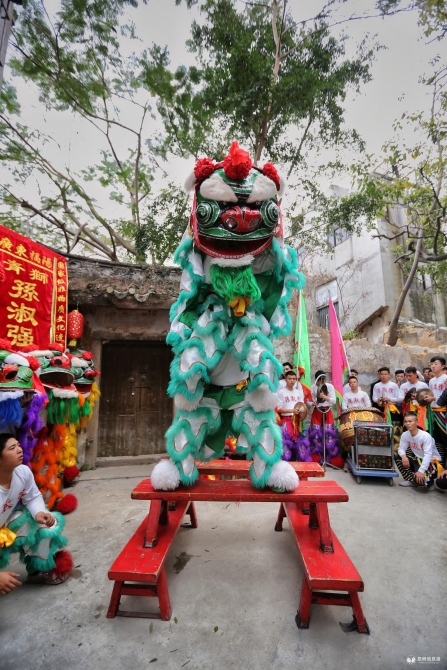 国家级非物质文化遗产——揭阳青狮。 国家级非物质文化遗产——揭阳青狮。