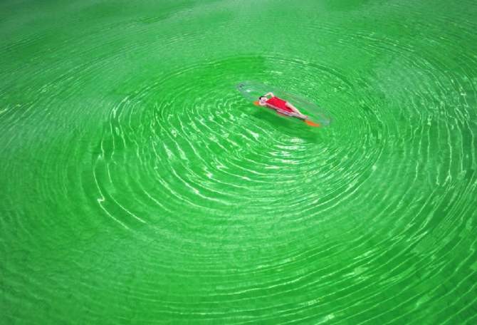 1125249451_15741483611851n4