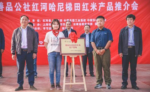 d52a2834349b033bbece967e5e56f0d6d439bd6a