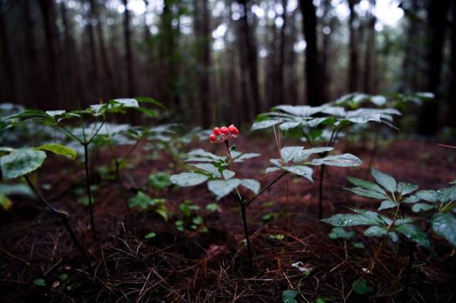 960a304e251f95cadd07c58b4b30b73b660952cd 960a304e251f95cadd07c58b4b30b73b660952cd