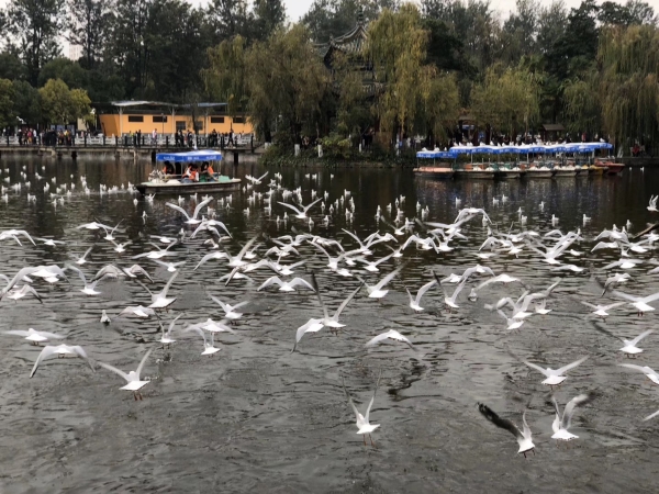 微信图片_20191122152047