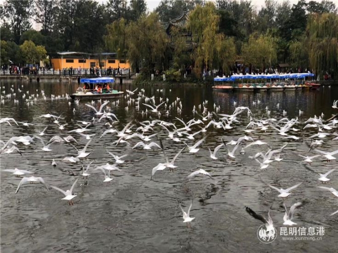 微信图片_20191129171131b