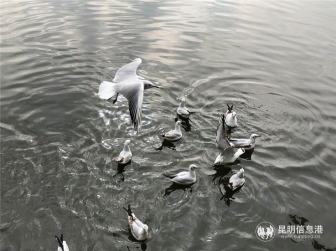 %U5CLGTXL4{[X6DFB@6%UCIa