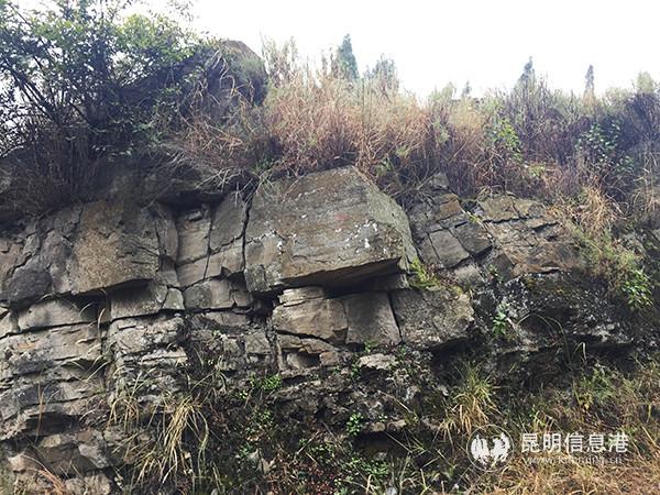 梅树村剖面一隅。记者孙红亮摄 梅树村剖面一隅。记者孙红亮摄